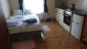 Beautiful Studio flat close to central London