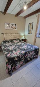 Bouganville img4