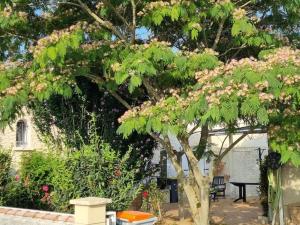 Agréable maison au cœur de St Hilaire