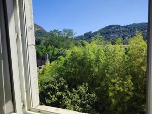 Appartements Grand appartement a Anduze - Cevennes Flat : photos des chambres
