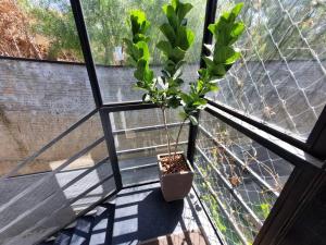 Estilo, conforto e lindo visual