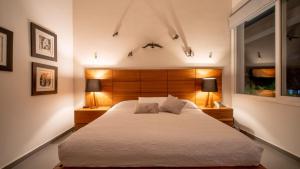 Modern House Surrounded By Nature