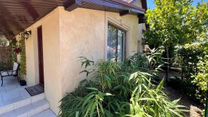 Mediterana Studio next to Baile Felix