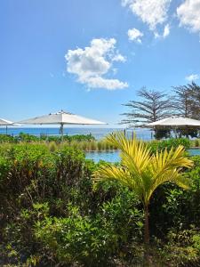 AH-10 - Luxury 3 BR Beach Apartment in typical island village by Althea