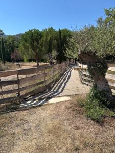 Campings Superbe Roulotte de charme : photos des chambres
