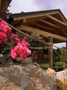 Apartamenty Wichrowe Wzgórze - Krynica-Zdrój