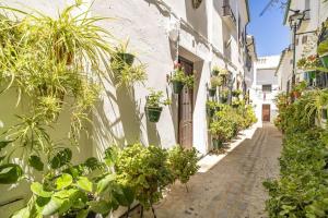 Casa con patio y terraza en Barrio histórico de la Villa, junto al Adarve