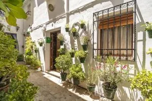 Casa con patio y terraza en Barrio histórico de la Villa, junto al Adarve - Carcabuey