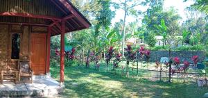 Tereng Wilis Jungle Inn