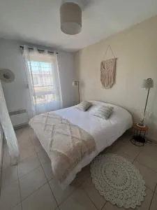 Appartement T2 climatisé - 萨林德吉罗