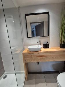 Appartements Loft des Cigognes : photos des chambres
