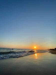 ASSOS VİLLA Suits 2