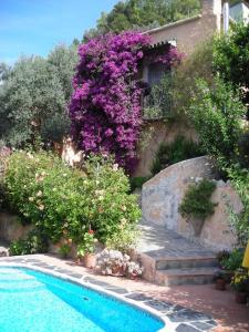 Casita muy romantica, tranquila y acogedora!