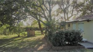 La maison sous les chenes