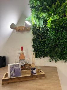 Appartement T2 Cosy centre-ville