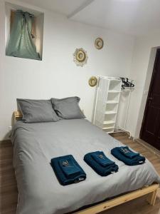Appartement T2 Cosy centre-ville