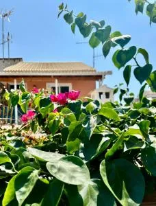 Traditional Corfiot House - Ágios Nikólaos