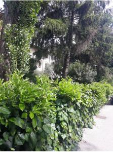 Versilia Garden Rooms