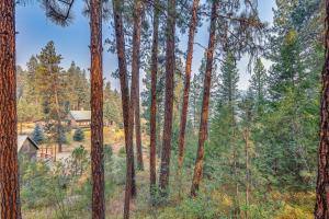 Hillside Hideaway Warm and Cozy Terrace Lakes Cabin