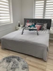 Apartman LOKI