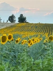 Casa rural ‘’La Nuestra’’