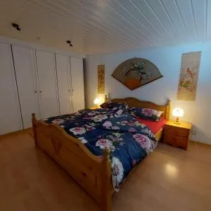 Ferienwohnung nähe Zentrum - Freienwill