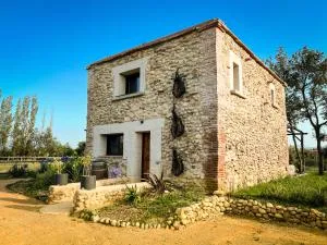 au milieu des vignes - 蒂伊