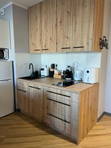 LTS RENT Luxury & Comfortable Residence Letnica