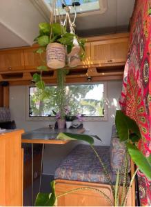 Tibetan Buddhist Jungle Camper