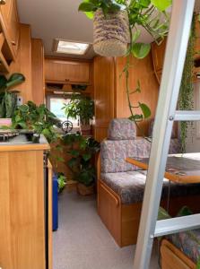 Tibetan Buddhist Jungle Camper