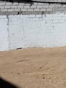 private suite near the beach