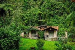 Hotel Termales San Vicente - 圣罗莎德卡瓦尔