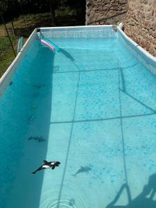 Appartements La Maison du bonheur - Gite RULINA - Corancy : photos des chambres