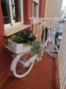 Bonito piso en Dénia