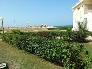 صف اول الساحل الشمالي Suèz Canal Resort