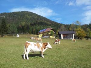 Bauernchalet Orainza