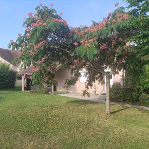 Maisons de vacances Maison reposante : Maison 2 Chambres