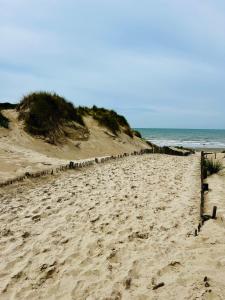 Campings Au coeur des Pins : Mobile Home