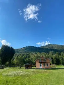 Будинок в пейзажній місцевості - Snidavka