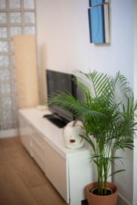 Cozy & Quiet apartment in the center