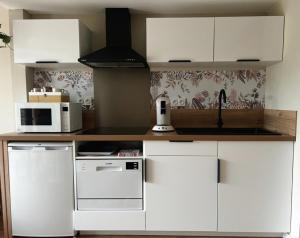 Larbre de soie Futuroscope Albizia