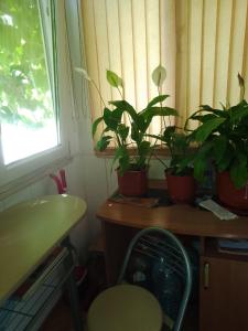 Квартира в центре.