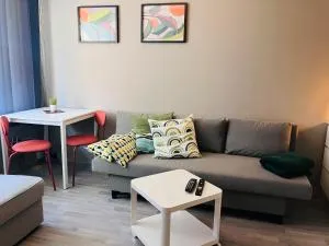 Sentralt beliggende studioleilighet - Gol