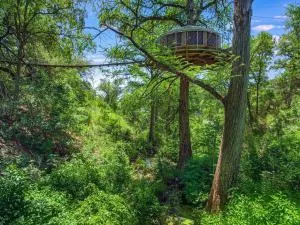LOFTHAVEN TREEHOUSE A beautiful Sky Yurt - Hammetts Crossing