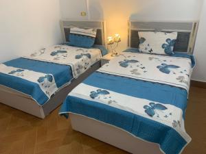 comfortable apartment