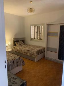 comfortable apartment