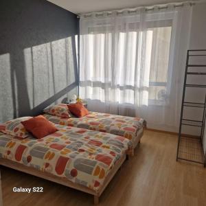 Appartements Spacieux T3 lumineux avec balneo a 5min de la gare : photos des chambres