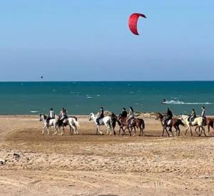 Hotel Room in Aqua Palms Hurghada