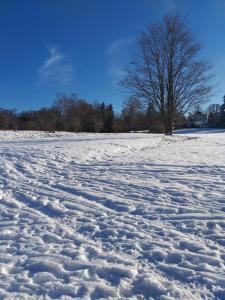 Ferienwohnung Sonnenschein mit kleinem Bauernhof