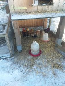 Ferienwohnung Sonnenschein mit kleinem Bauernhof